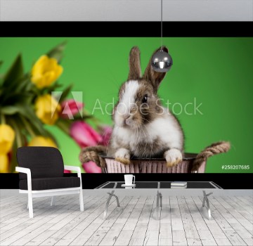 Picture of Happy easter Baby bunny rabbit and egg on green background 